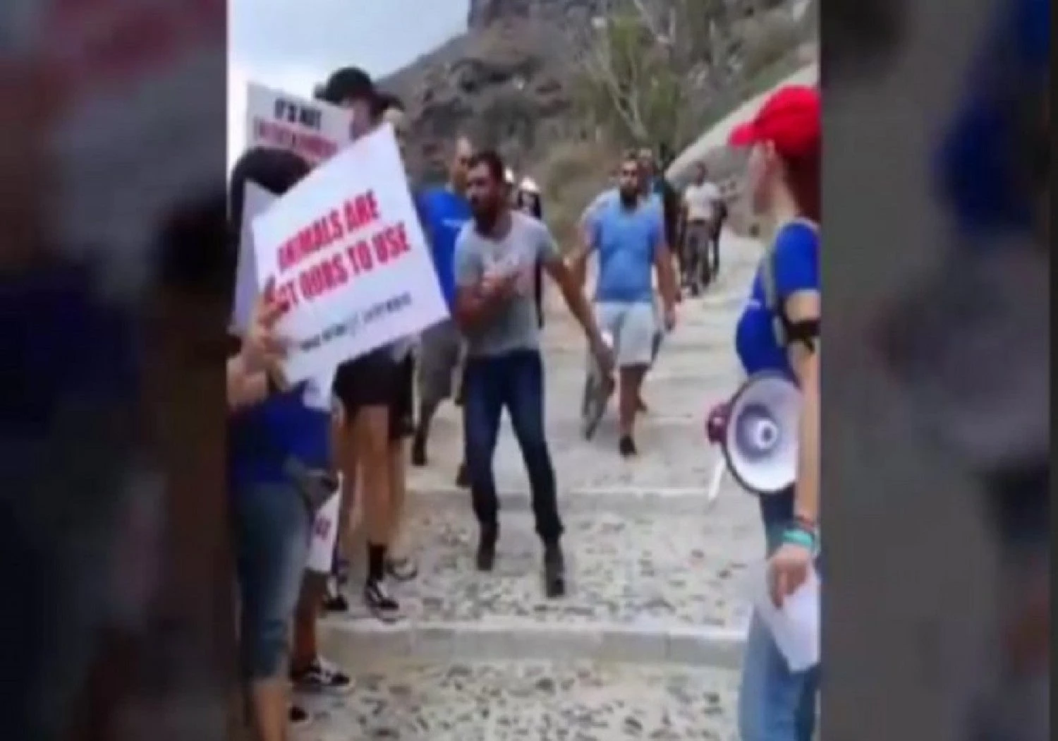 Αγριο ξύλο στη Σαντορίνη – Ιδιοκτήτες γαϊδουριών γρονθοκόπησαν ακτιβιστές (βίντεο)
